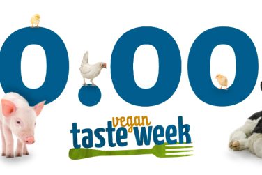 50.000 TeilnehmerInnen!