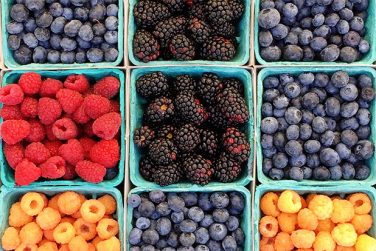 August ist Beerenzeit