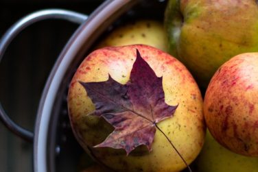 Äpfel: Gesund und lecker