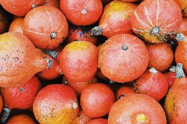 Vegane Kürbis-Rezepte für den Herbst