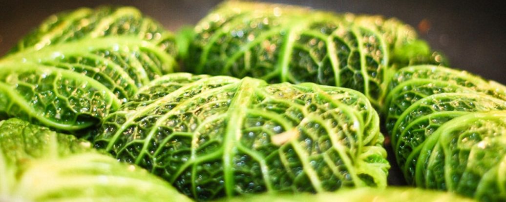 Orientalische Wirsing-Rouladen • Vegan Taste Week